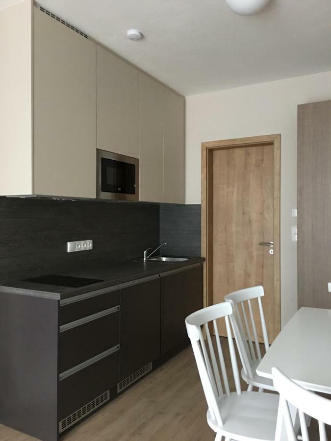 Zlaty Apartman Dolní Morava Exterior photo